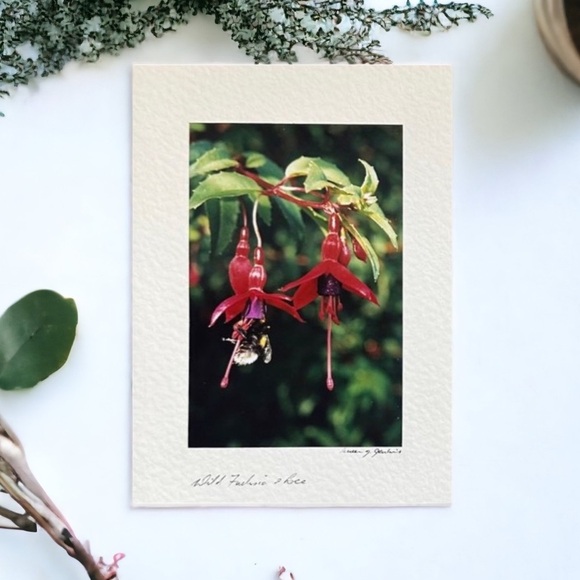 Wild Flower Stationary Card - Picture 11 of 15